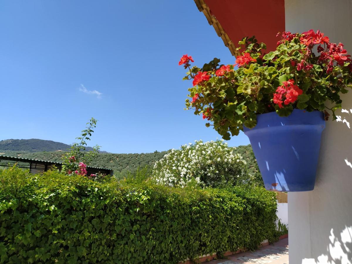 Villa Frasquita Priego de Córdoba Buitenkant foto