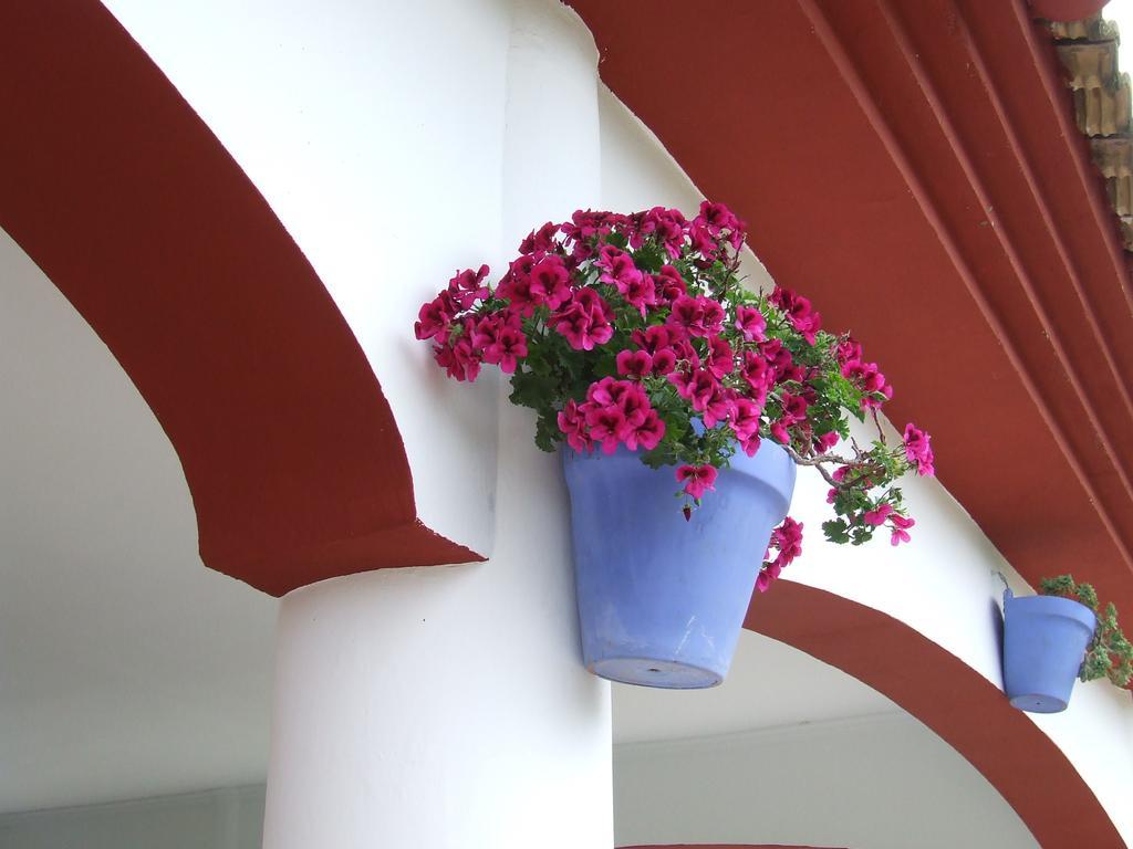 Villa Frasquita Priego de Córdoba Buitenkant foto